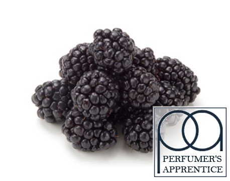 The Flavor Apprentice Perfumers Blackberry Flavour Concentrate
