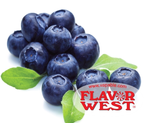 Flavor West Blueberry Flavour Concentrate