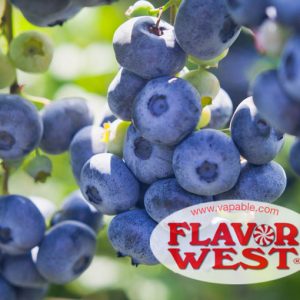 Flavor West Huckleberry Flavour Concentrate