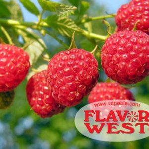 Flavor West Raspberry Natural Flavour Concentrate