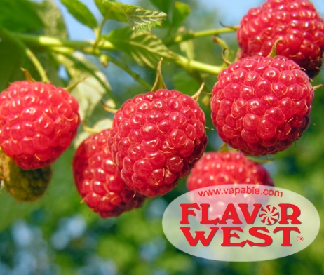 Flavor West Raspberry Natural Flavour Concentrate